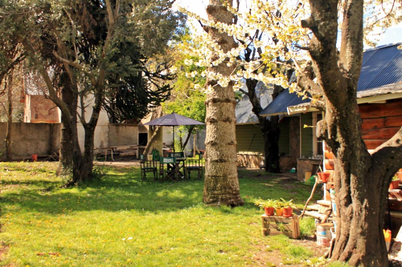 Alhue Patagonia Hostel Сан-Мартин-де-лос-Андес Экстерьер фото
